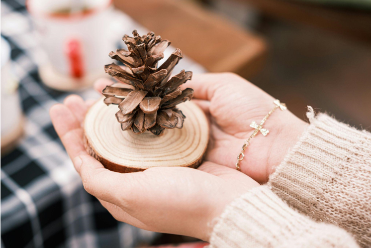 Pre-Decorated Christmas Trees for the 2024 Olympics